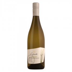 VAL DE LOIRE BLANC - SAUVIGNON LE BOUQUET - DOMAINE LAPORTE