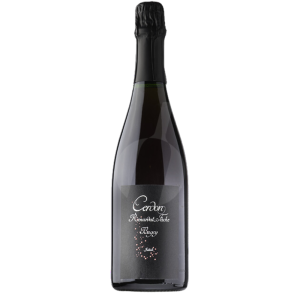 BUGEY CERDON - INITIALE - DOMAINE RENARDAT FACHE - BIO - 2023 2