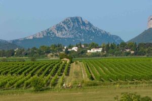 Pic Saint-Loup