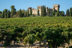 AOP Chateauneuf du Pape