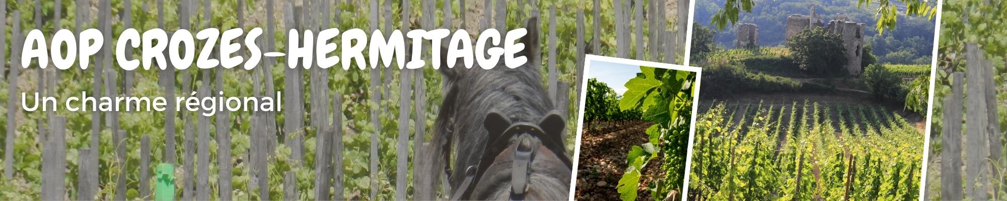 AOP CROZES HERMITAGE