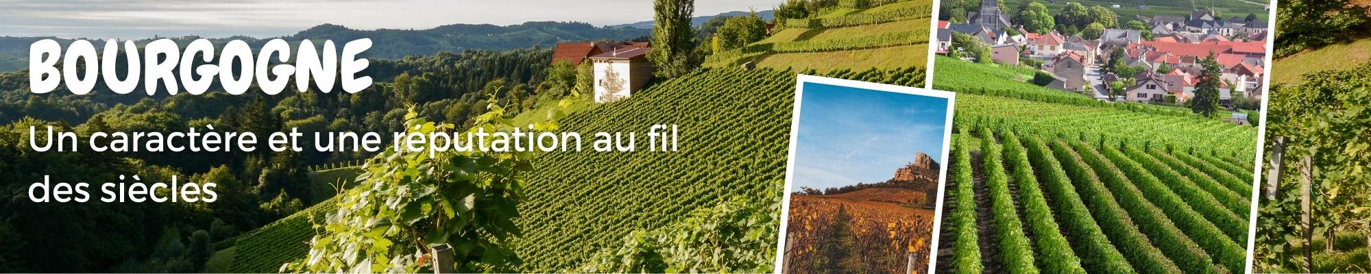VIN BOURGOGNE