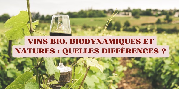 Vins bio, biodynamiques et natures : quelles différences ?