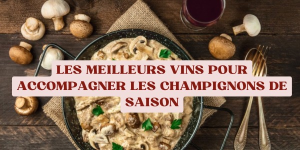 Les meilleurs vins pour accompagner les champignons de saison