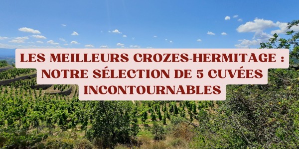 Les meilleurs Crozes-Hermitage : notre sélection de 5 cuvées incontournables