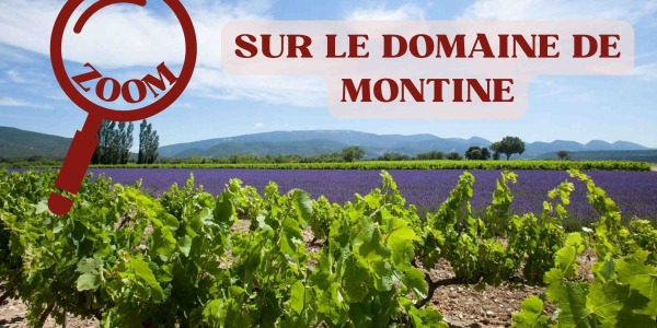 Zoom sur le Domaine de Montine : tout ce qu'il faut savoir