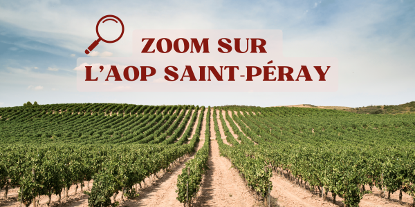 Tout sur l'AOC Saint-Péray : une grande diversité de vins blancs 