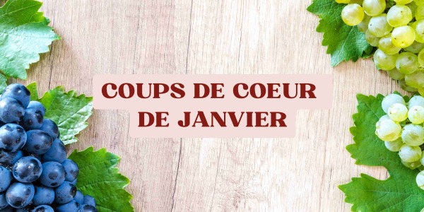 Nos vins coups de cœur de janvier