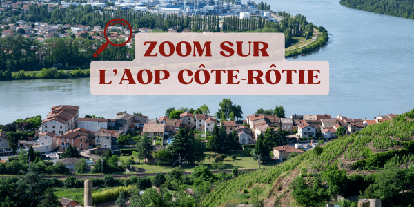Zoom sur l'AOP Côte-Rôtie