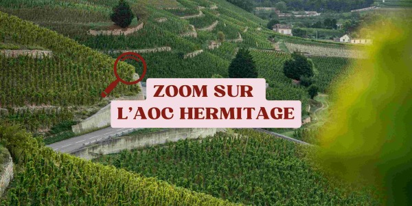 Zoom AOC Hermitage