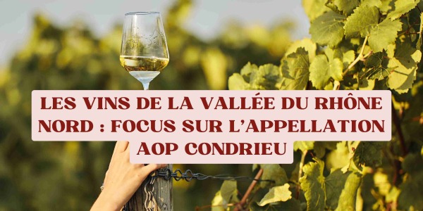 Les vins de la Vallée du Rhône Nord : Focus sur l'appellation AOP Condrieu