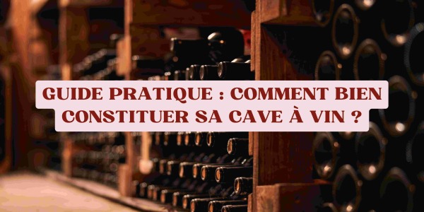 Guide pratique : comment bien constituer sa cave à vin ?