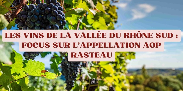 Les vins de la Vallée du Rhône Sud : focus sur l'appellation AOP Rasteau