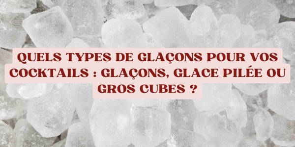 Quels types de glaçons pour vos cocktails : glaçons, glace pilée ou gros cubes ?
