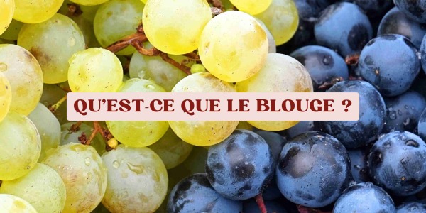 Qu’est-ce que le blouge ?