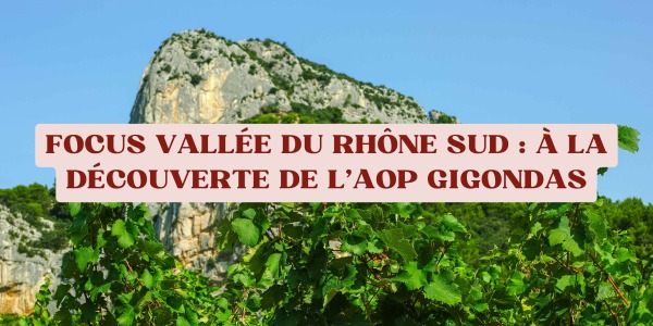Focus Vallée du Rhône Sud : À la découverte de l’AOP Gigondas