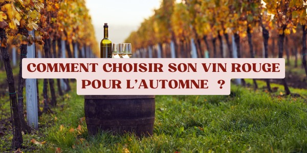 Comment choisir son vin rouge pour l'automne ?