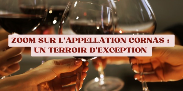 Zoom sur l’appellation Cornas : un terroir d’exception